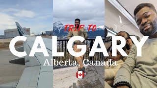 Should I Move From Toronto to Calgary? | Family Trip | Canada Vlog