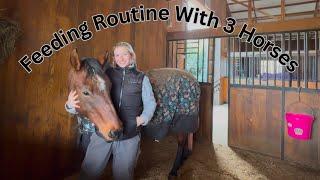 Feeding Routine With 3 Horses!!!