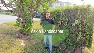 How to Improve Your Curb Appeal? | Ask a Landscaper