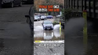 #shorts 내 차, 침수차로 보내고 싶지 않다면?