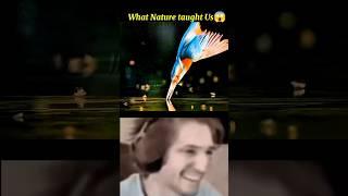 How Nature Inspired humans Inventions?