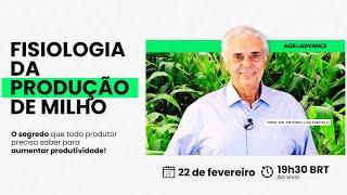 FISIOLOGIA DA PRODUÇÃO DE MILHO