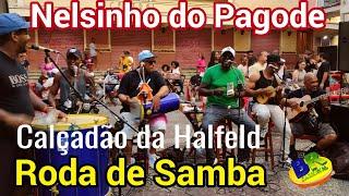 Nelsinho do Pagode Roda de Samba Calçadão da Halfeld Teatro Central Juiz de Fora MG