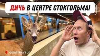 В ШВЕЦИИ КРАСИВЕЕ МЕТРО, ЧЕМ В МОСКВЕ?! | На автодоме по Европе | Выпуск 5