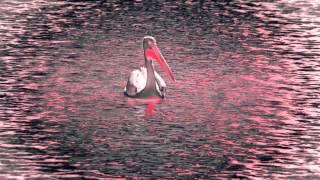 Hossein Alizadeh & Djivan Gasparyan - Birds