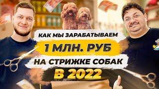 Бизнес на СТРИЖКЕ собак. Как открыть груминг салон? Бизнес идеи 2022