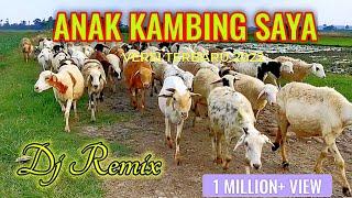 Lagu Anak Kambing Saya | Caca Marica Hey hey | HD Audio