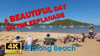 Ettalong Beach | Walking the Beach & Esplanade | 4K UHD Video Walk