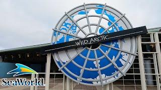 Wild Arctic - SeaWorld San Diego Animal Exhibit [4K POV]