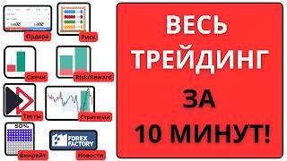 СТАТЬ ТРЕЙДЕРОМ В 2025 | Пошаговая инструкция | Основы Трейдинга