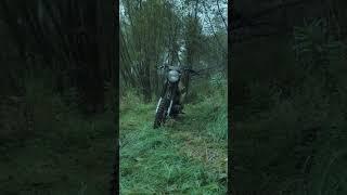 сова#сова175#восход