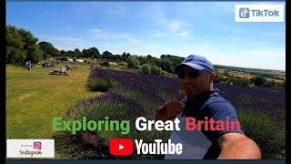 The Best Lavender Fields In England  Tourist Attractions | Travel Vlog