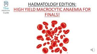 HAEMATOLOGY EDITION: HIGH YIELD MACROCYTIC ANAEMIA FOR FINALS!