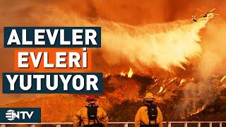 Los Angeles Ateş Çemberinde! Yangında Ölenlerin Sayısı 24'e Yükseldi | NTV