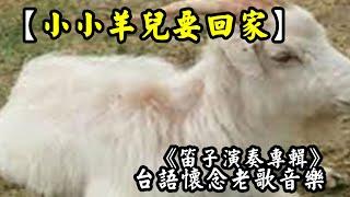 小小羊兒要回家【笛子演奏 專輯】《台語老歌音樂》