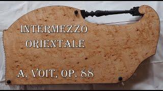 Intermezzo Orientale - op.88, A. Voit - Angelika Derkits - VAMÖ Zitherseminar 8.5.