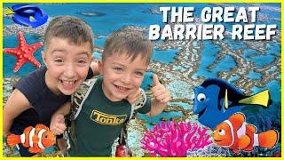 Explore the Great Barrier Reef 🪸 Coral Reef Adventure by Boat   Sea Animals  Fun Learning Video