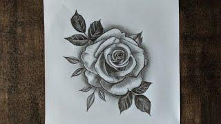 how to draw realistic rose flower  drawing with pencil | step by step draw flower with pencil #Uart