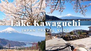   Cycling Lake Kawaguchiko |  Mt Fuji & Sakura | Japan Solo Travel | Silent Vlog