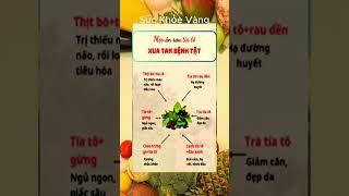 Bí Quyết Giữ Gìn Sức Khỏe Toàn Diện | Sức khỏe vàng #ChămSócSứcKhỏe #BảoVệSứcKhỏe #SốngKhỏeMỗiNgày