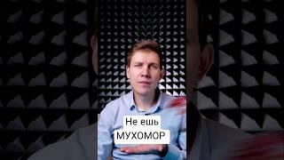 Не ешь МУХОМОР, если не готов к последствиям