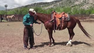 Teaching a Horse to Hobble