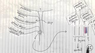 USMLE Step 1 | Direct vs  Indirect Inguinal Hernias