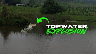 TOPWATER EXPLOSIONS AT THE FARMDAM. Bass Fishing South Africa