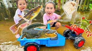 Changcady trổ tài bắt cá trên con đường bị ngập nước sau cơn mưa, bắt được cá sấu, con ếch, con tôm