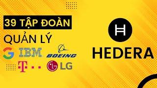 Review Hedera (HBAR) - Coin Nền Tảng Được Quản Lý Bởi 39 Tập Đoàn Hàng Đầu Thế Giới