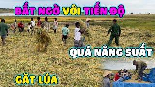 Thế Nhân II Thành Quả Của Ngày Gặt Thứ 2 Ở Cánh Đồng Lúa Nước Bản Caiti Vượt Xa Ngoài Sự Mong Đợi