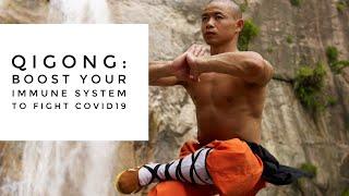 Qigong: Boost Your Immune System to Fight Covid19