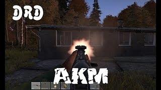 Day Z Standalone Experimental AKM Woodchopping and Cows.