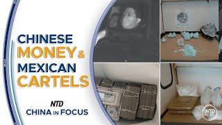 Mexican Cartels Work With Chinese Money in LA to Launder $50 Million | China in Focus