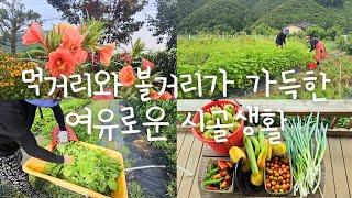 SUB) 먹거리와 볼거리가 가득한 여유로운 시골생활 | 시골살이 | 브이로그 | 힐링 | 시골정원 | 주말농장 | vlog | Korean Countryside life |