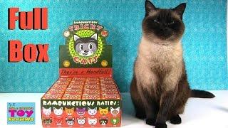 Tricky Cats Full Case Unboxing Round 2 Kidrobot Toy Review | PSToyReviews