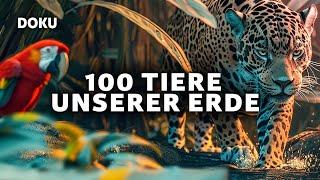 100 Animals of Our Earth (animal documentary | full documentary | German)