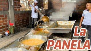 COLOMBIA is the second largest producer of PANELA in the world (Documentary)