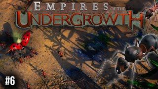 Die Flut - Teil 3 | Mission 2.1 | Empires of the Undergrowth | deutsch