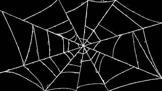 FREEBIE 3 Spider Web Animations