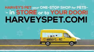 Harvey's Pet Shop Now by Pet Marketing Agency