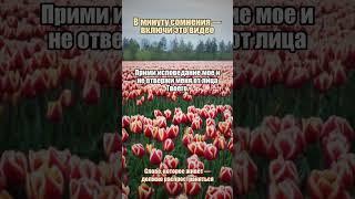 Молитва за смелость идти вперёд #смелость #путь #Божьяволя