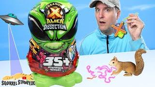 Treasure X Mega ALIEN Dissection 2024 Returns! Squirrel Stampede Rescues Many Hunter Figures!