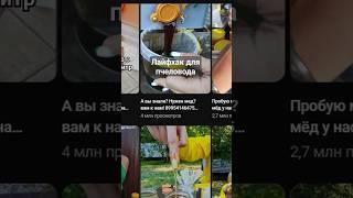 а заказать мёд можете у нас в телеграм: " В гостях у пчел".