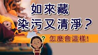 【Jonang Dharma Volunteers 覺囊志願者】如來藏 染污又清淨 怎麼會這樣啦？！