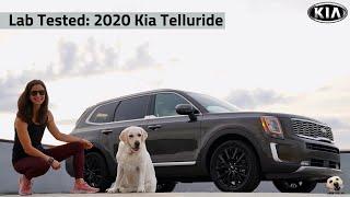 2020 Kia Telluride: Andie the Lab Review!