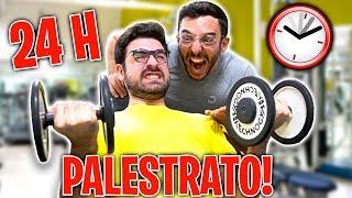 24 ORE DA PALESTRATO! w/GiampyTek *FINITO MALE*