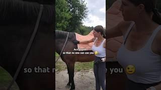 Act stupid  #horse #equestrian #pony #subscribe #pferde #equestriangirl #shorts #funny #rider