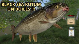 Russian Fishing 4, Black Sea Kutum 5,620Kg Seversky Donets River