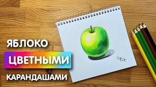 Как нарисовать цветными карандашами "Яблоко" | Рисунок для начинающих поэтапно и легко